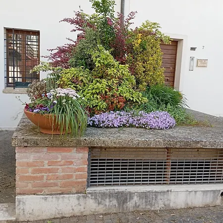 Casa Mirandola - Primo Piano * Vicenza